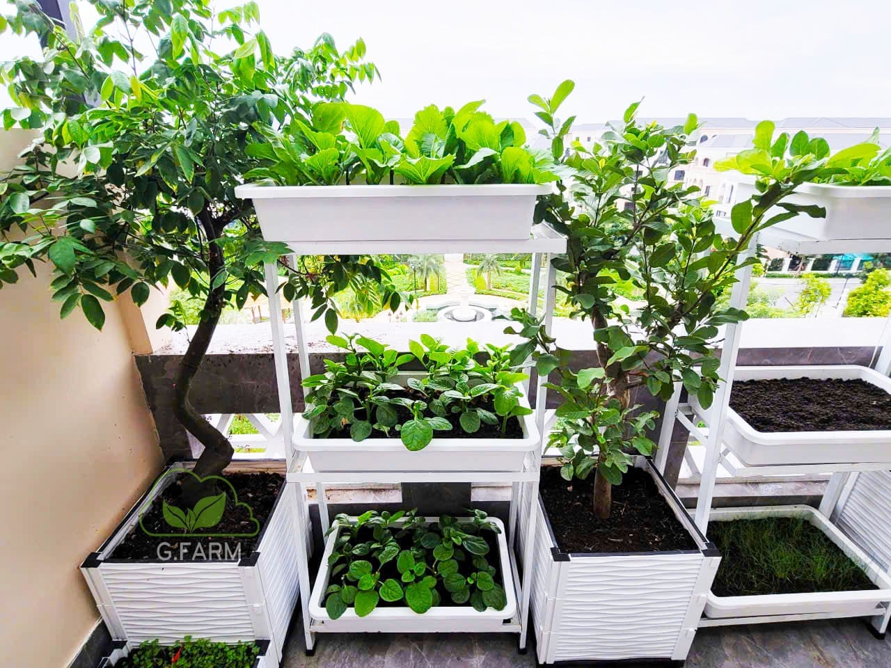 Thiết kế và thi công vườn rau sân thượng tại Ocean Park 2